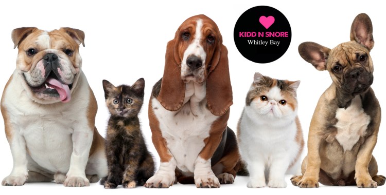 Kidd nSnore Pet Store Whitley Bay